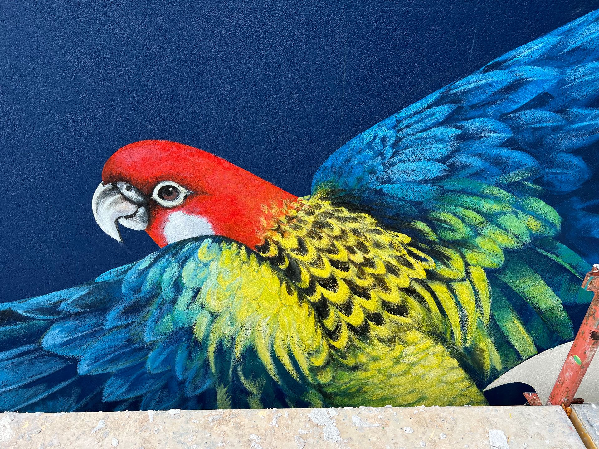 Rosella, Cremorne